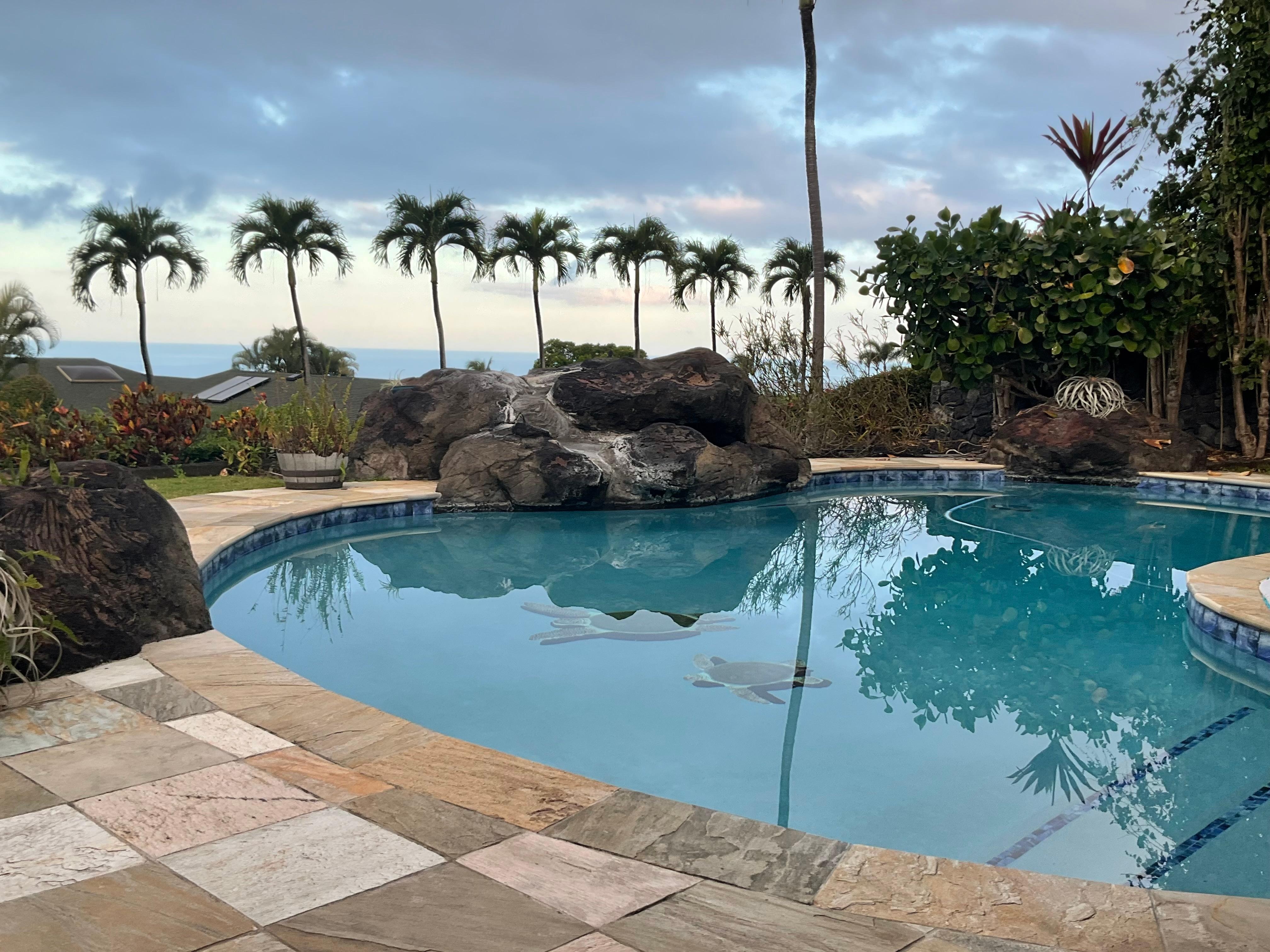 Sitting by the edge of the pool looking northwest