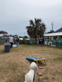 Gotta eat at the Shark Shack!