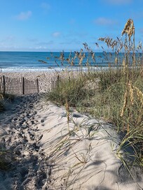 Short trail to the shore.