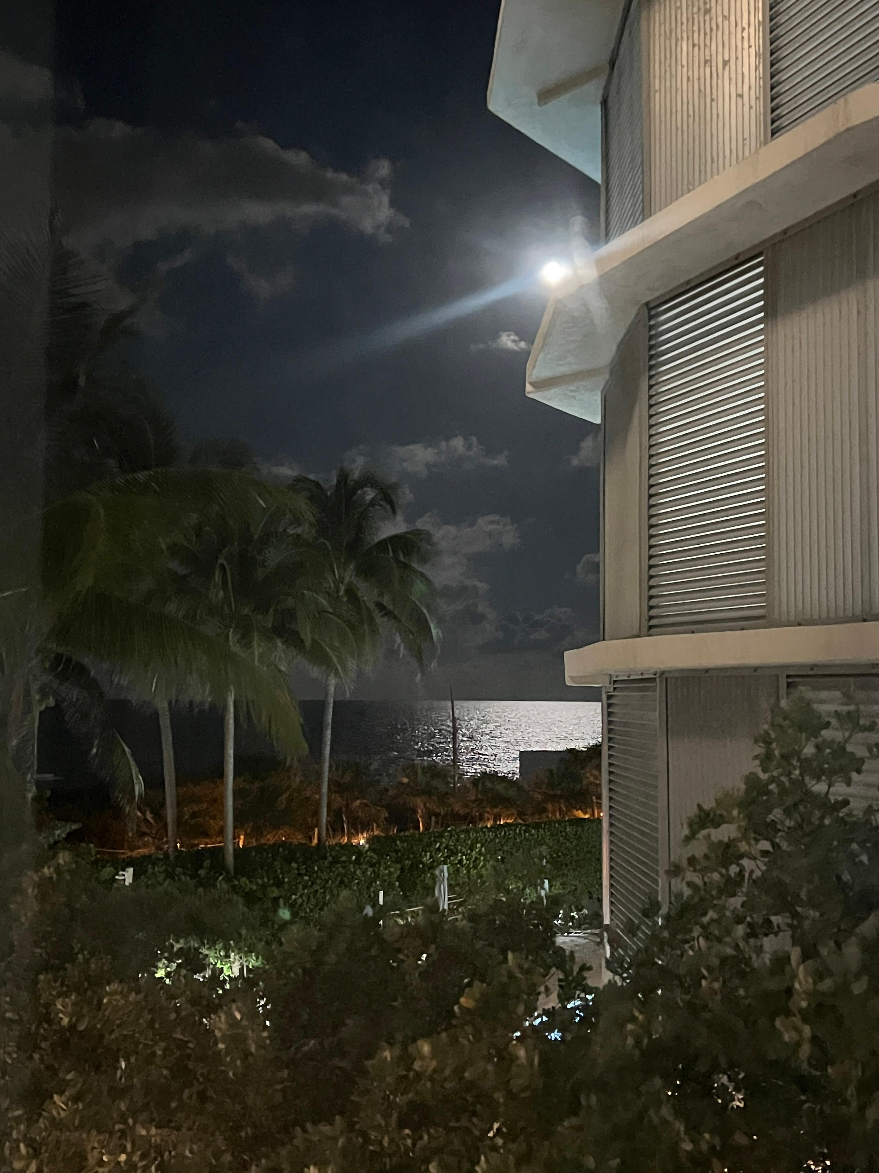 Room view 