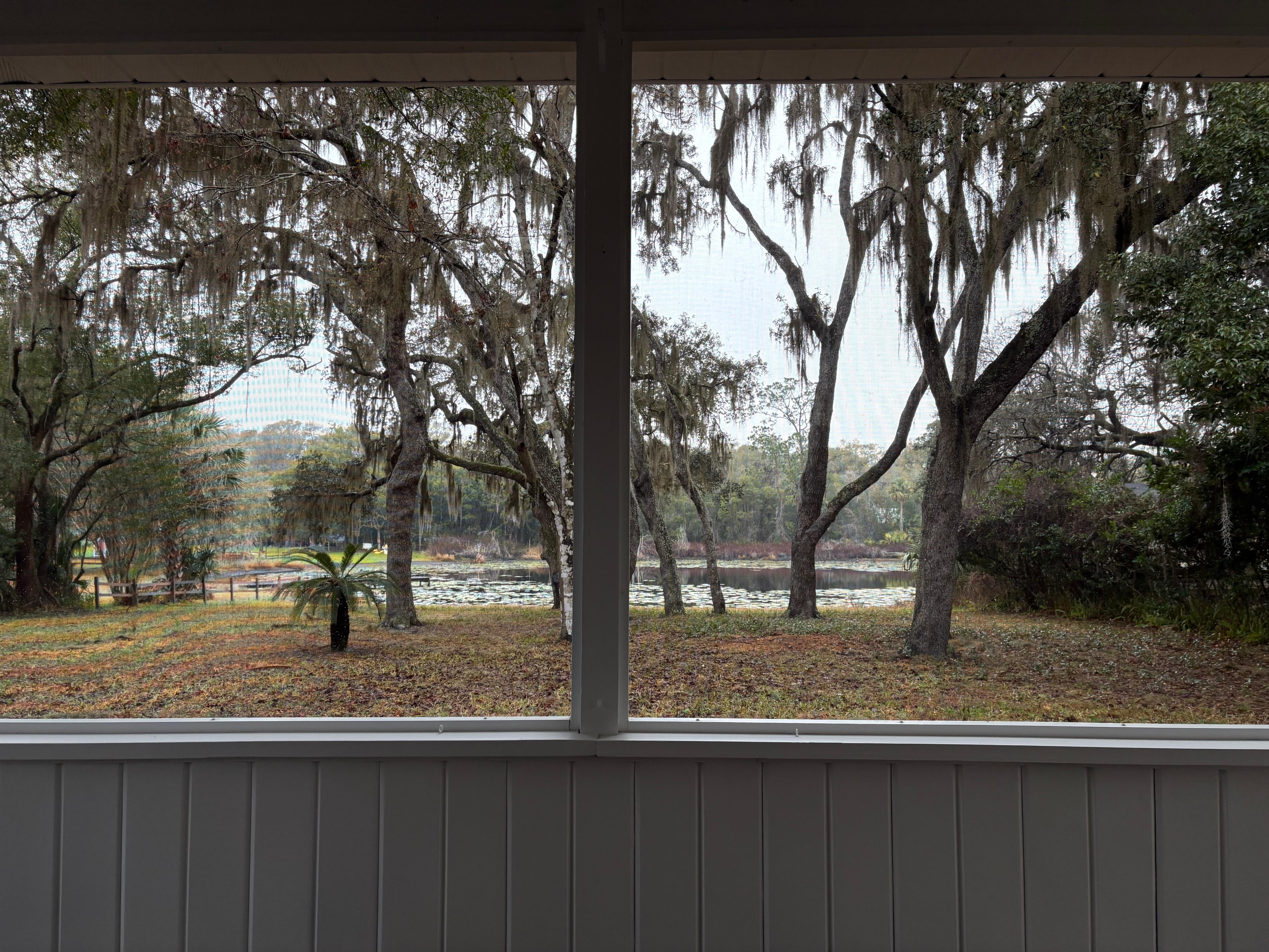 View from screen porch.