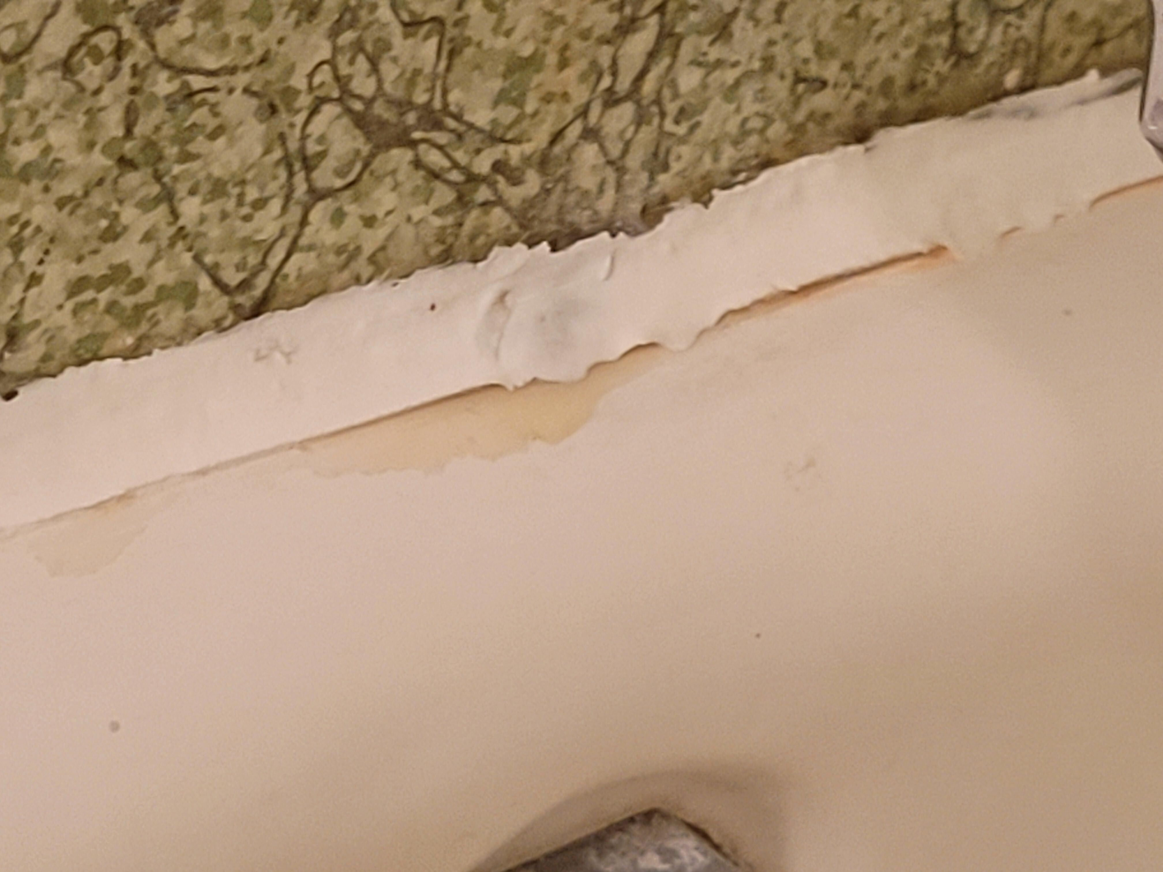 The shower wall was stapled on and it was bowing with water & mold, then there was brown water coming out the bottom of wall. Never used the shower.