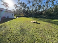 Corn hole in side yard