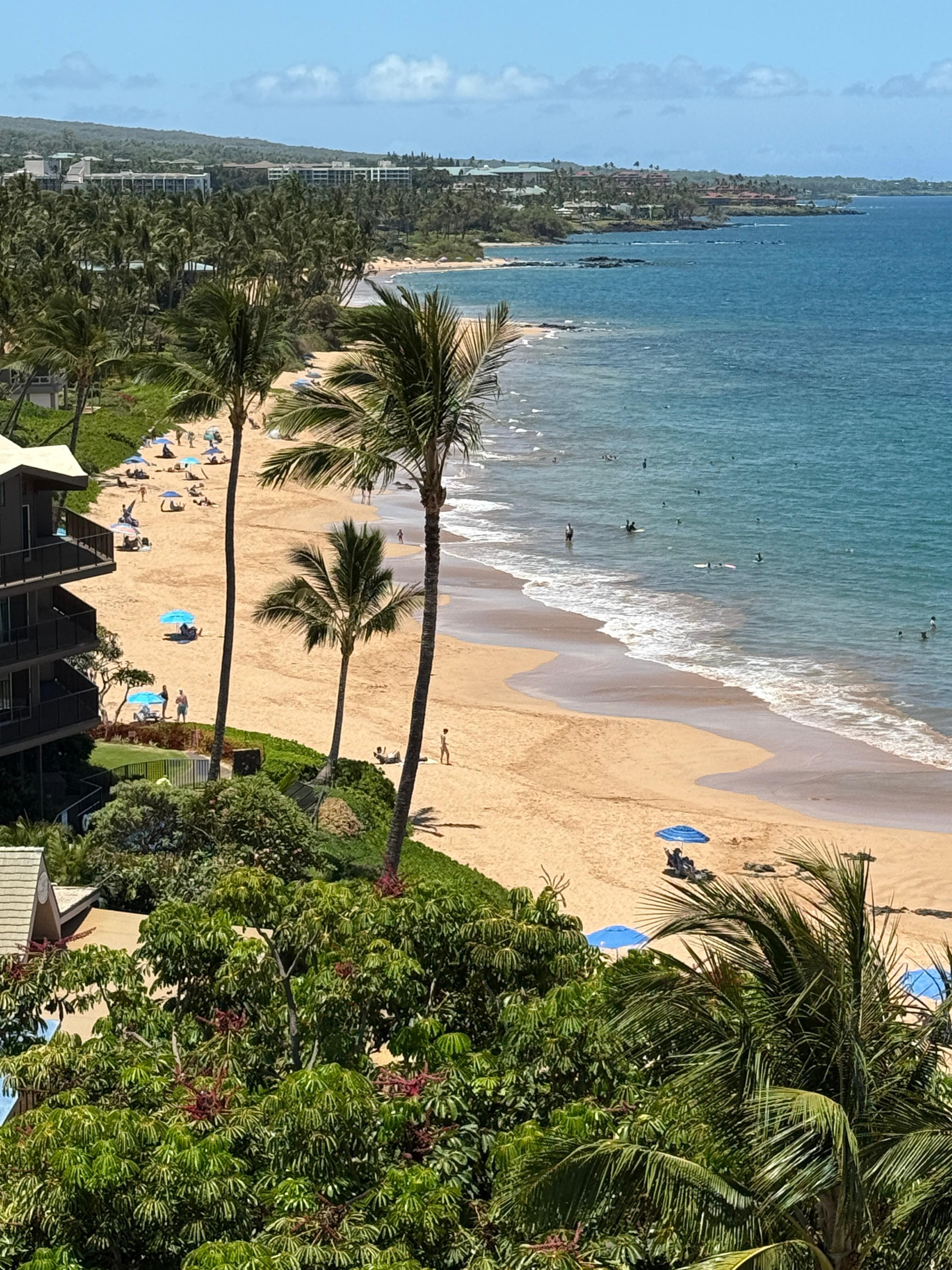 View from the room.