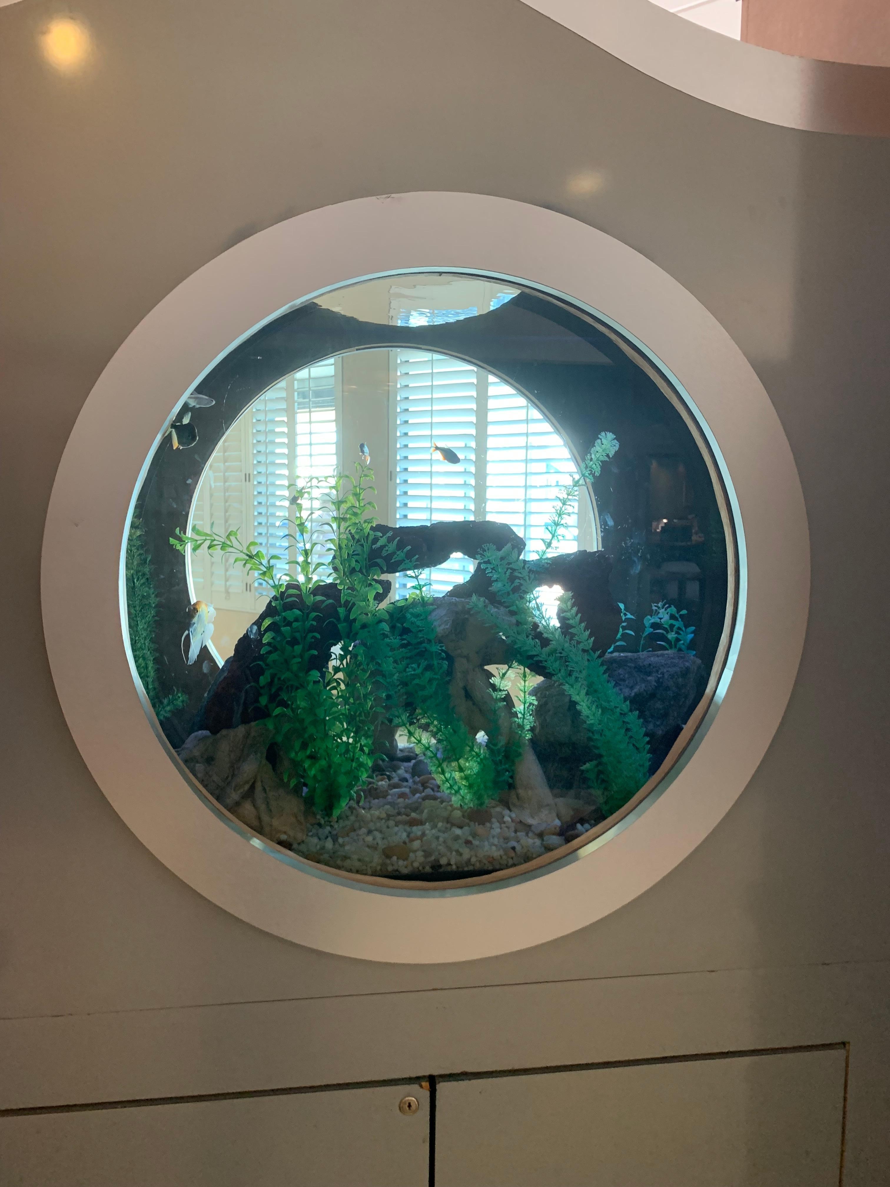 Aquarium in lobby.