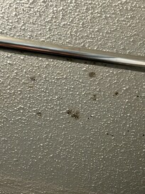 Mold