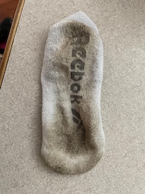 My white socks after walking around inside the house first morning after arriving, about 1 hour
