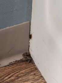 Corner of bathtub