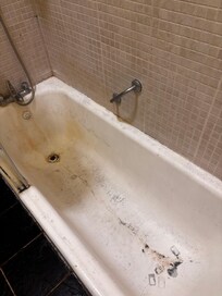 The bathtub