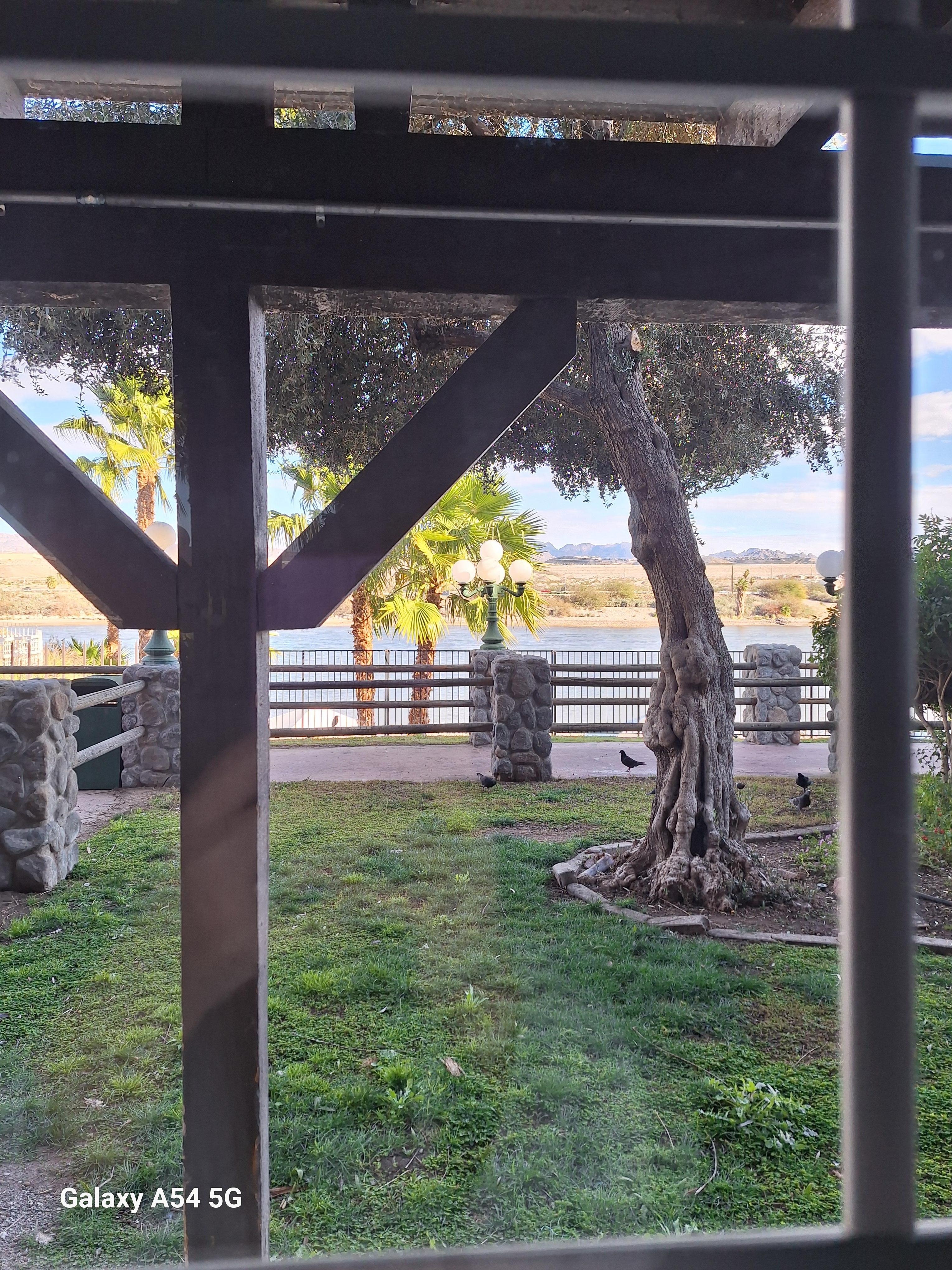 View from the room windows