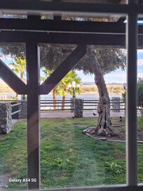 View from the room windows