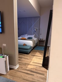 This is coming in from the front door past the restroom. There’s a wall separating the bed in the living room.