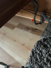 Dust bunnies