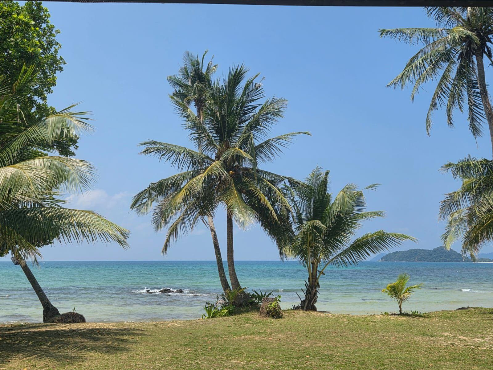 There's no better way to wake up!