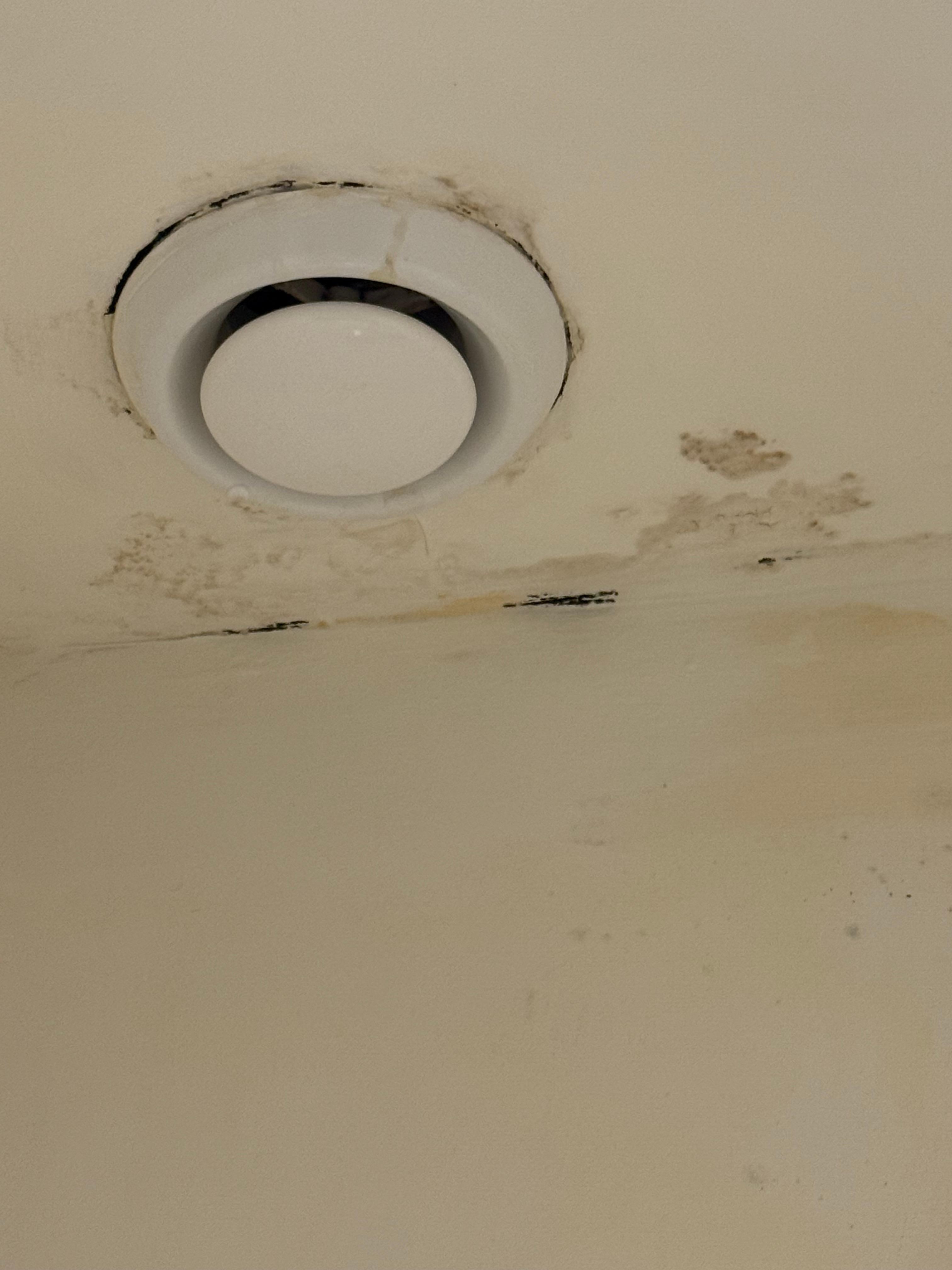 Moldy ceiling with drilling water