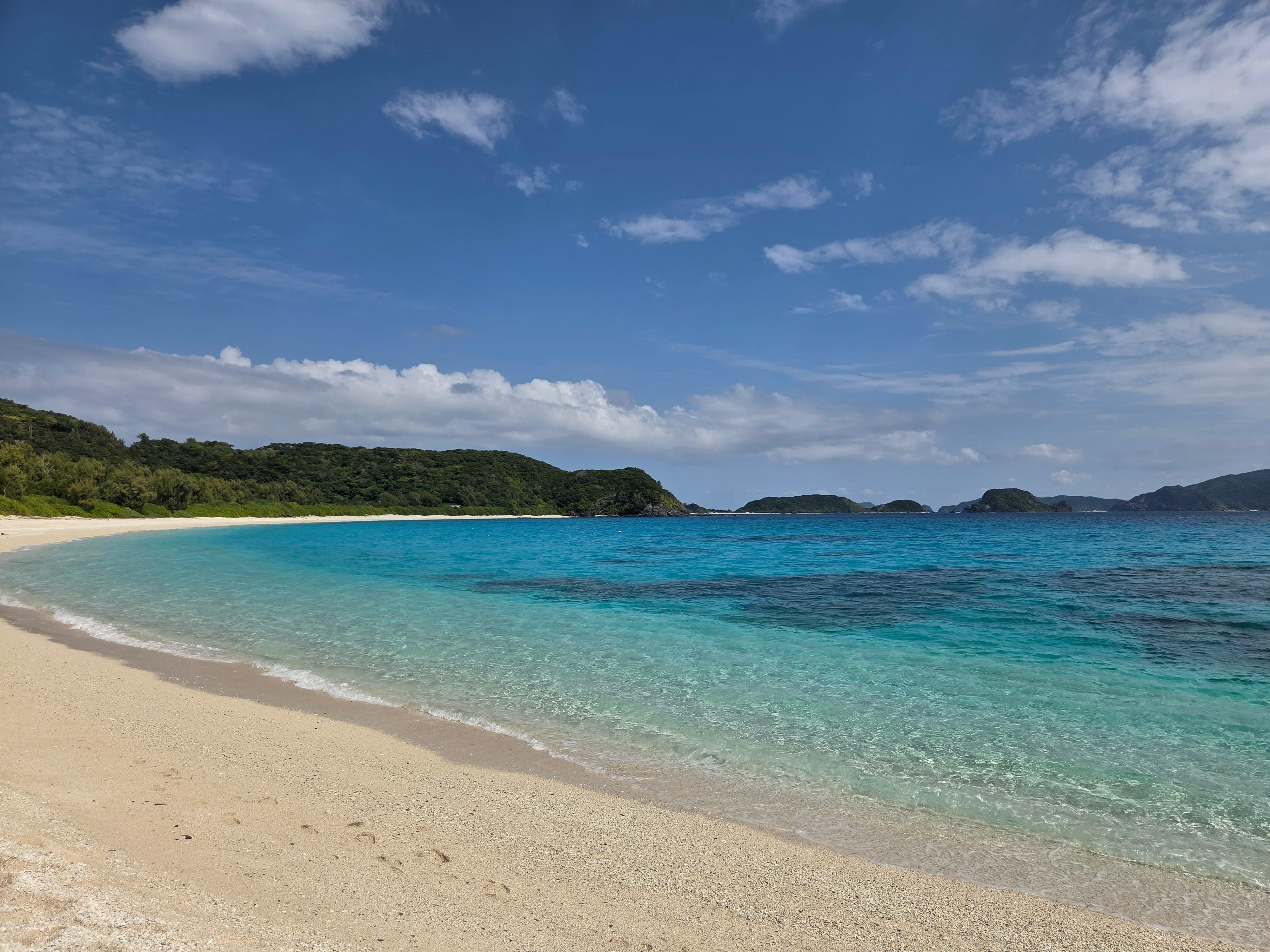 泊港からフェリーで座間味島へ日帰り散策