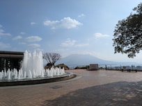 朝、ホテルの庭からの桜島