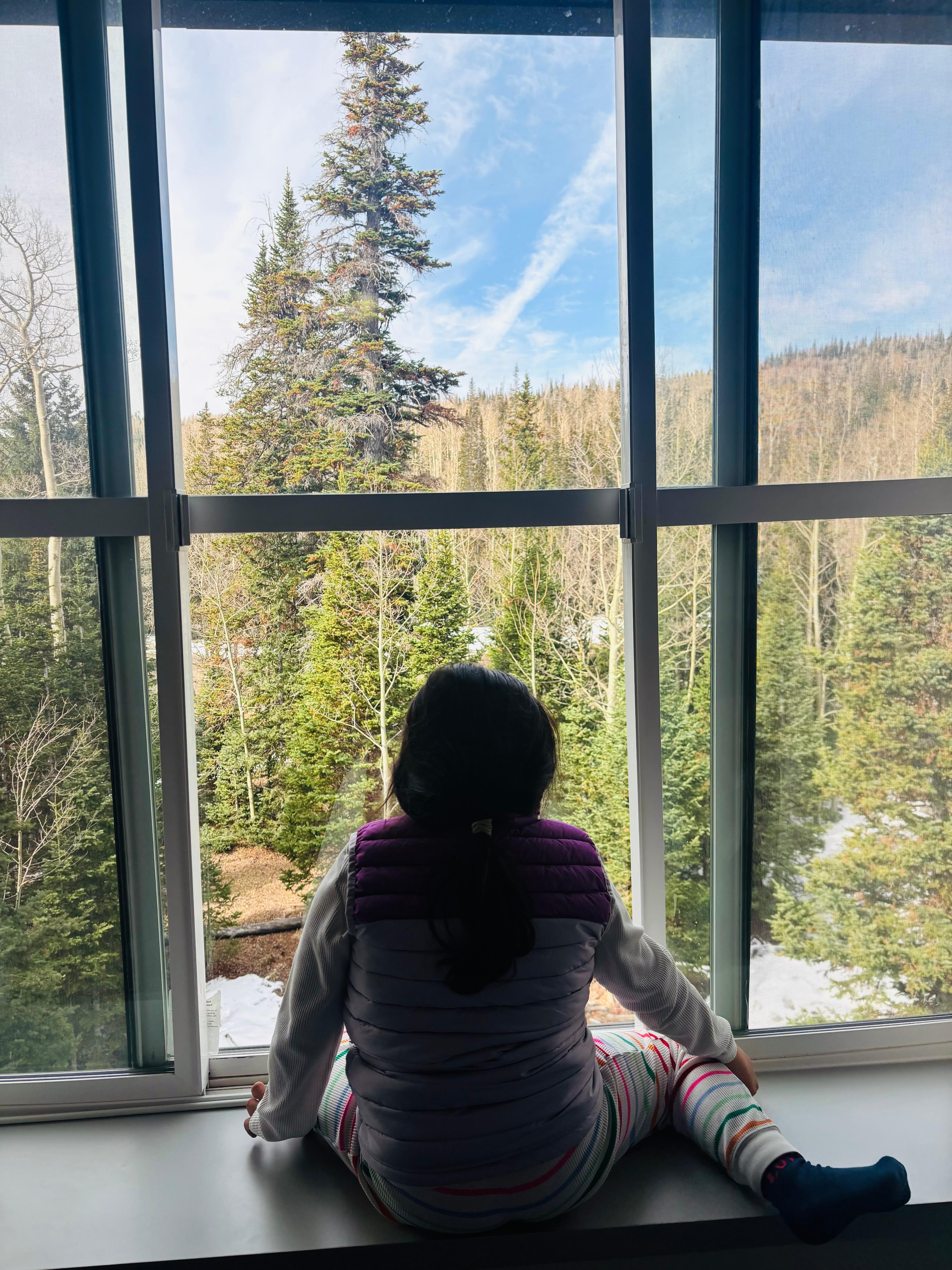 Vista de la habitación