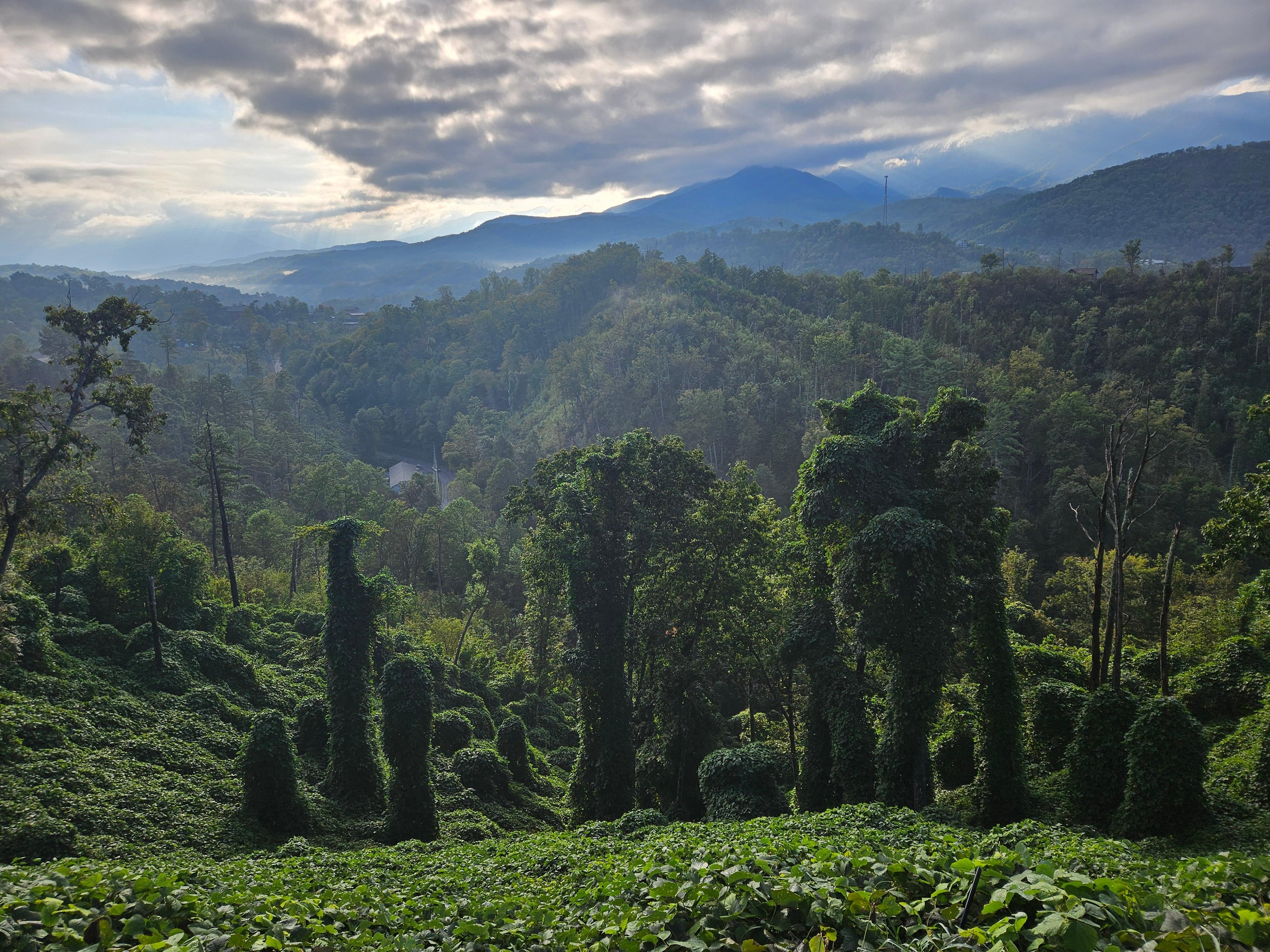 View from the picnic bench outside