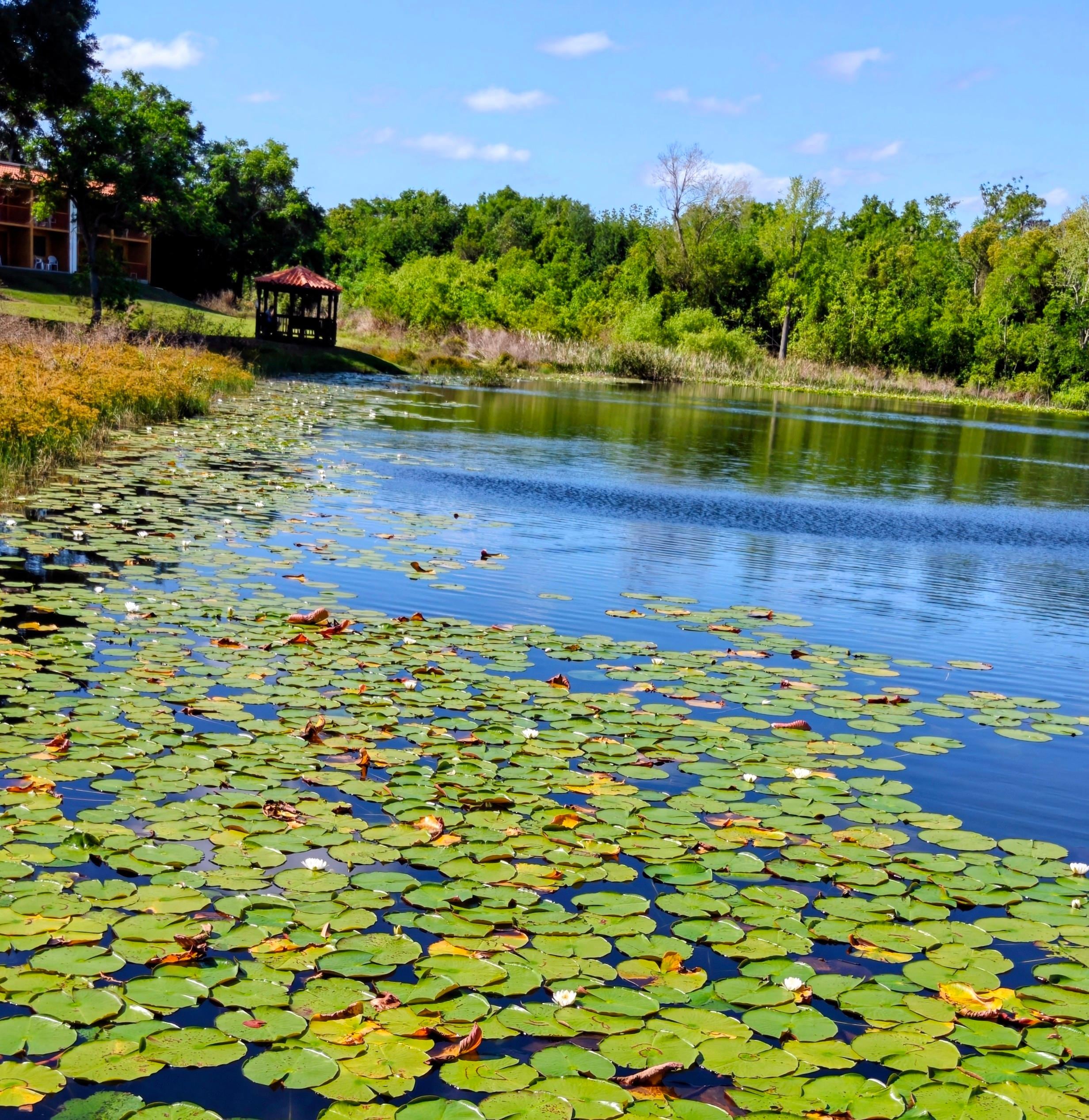 View of lake