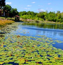 View of lake