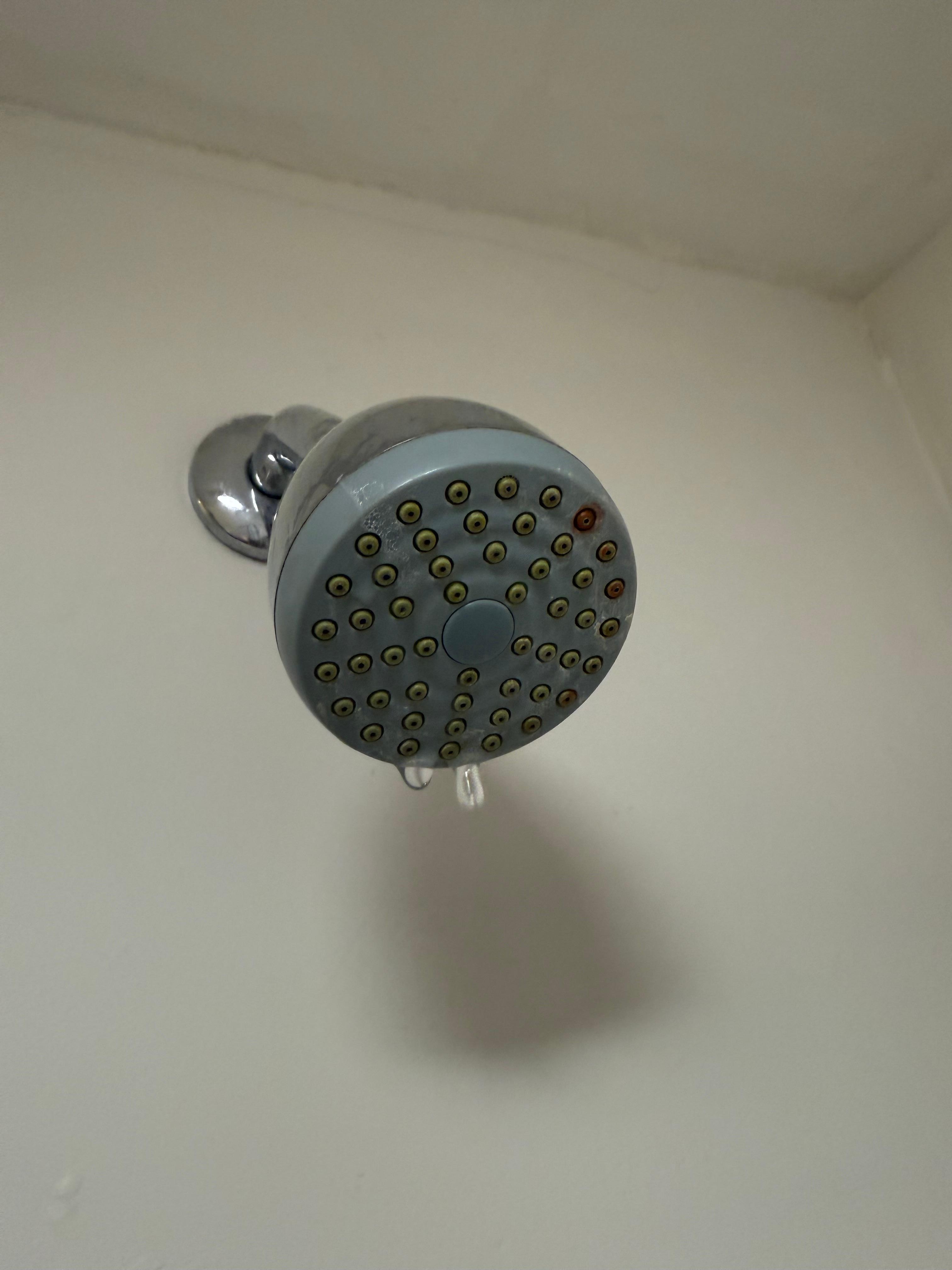 Filthy shower head