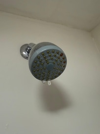 Filthy shower head