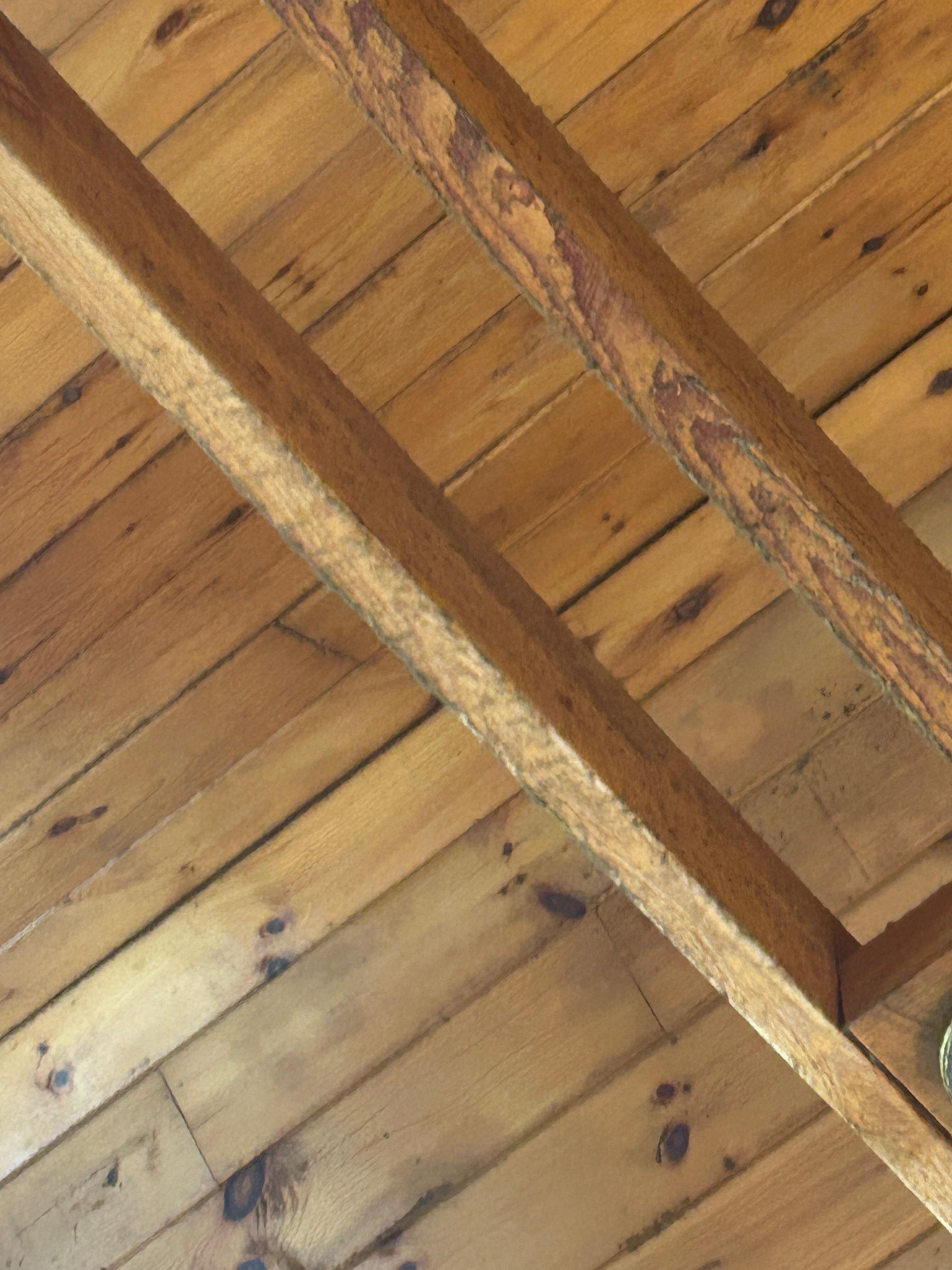 Thick dust on living room ceiling 