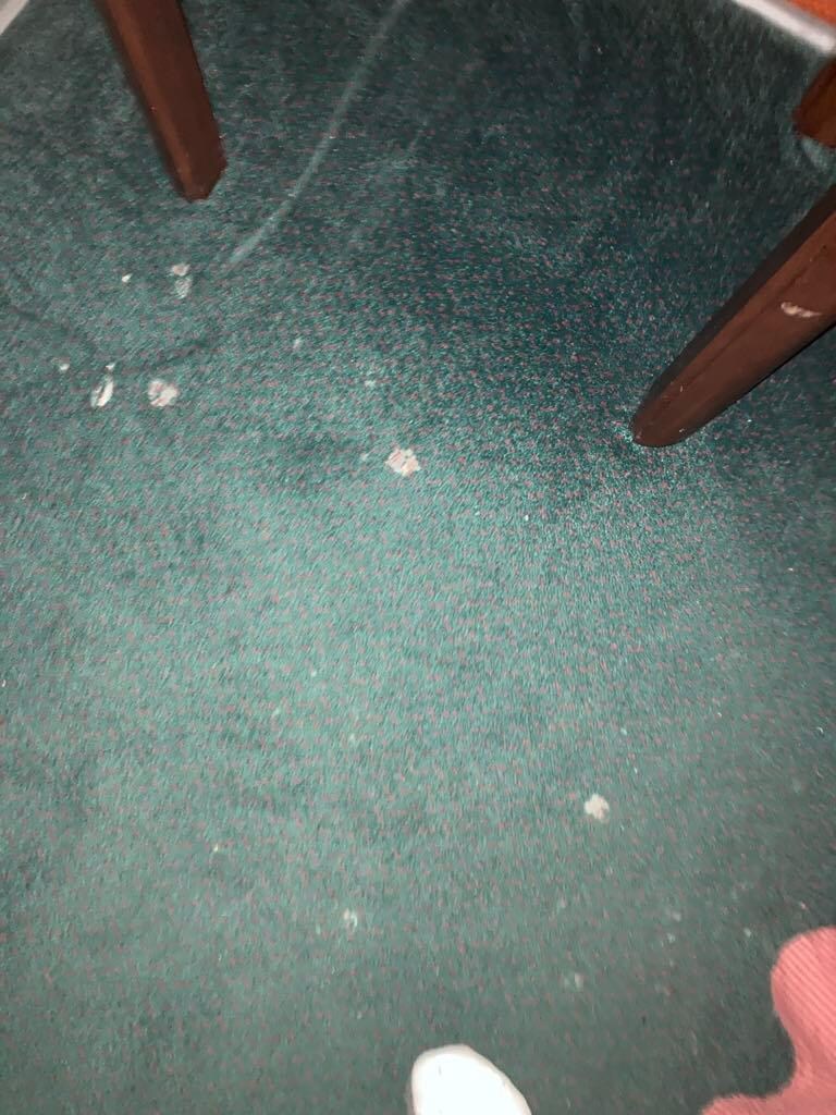 Stained and dirty carpet