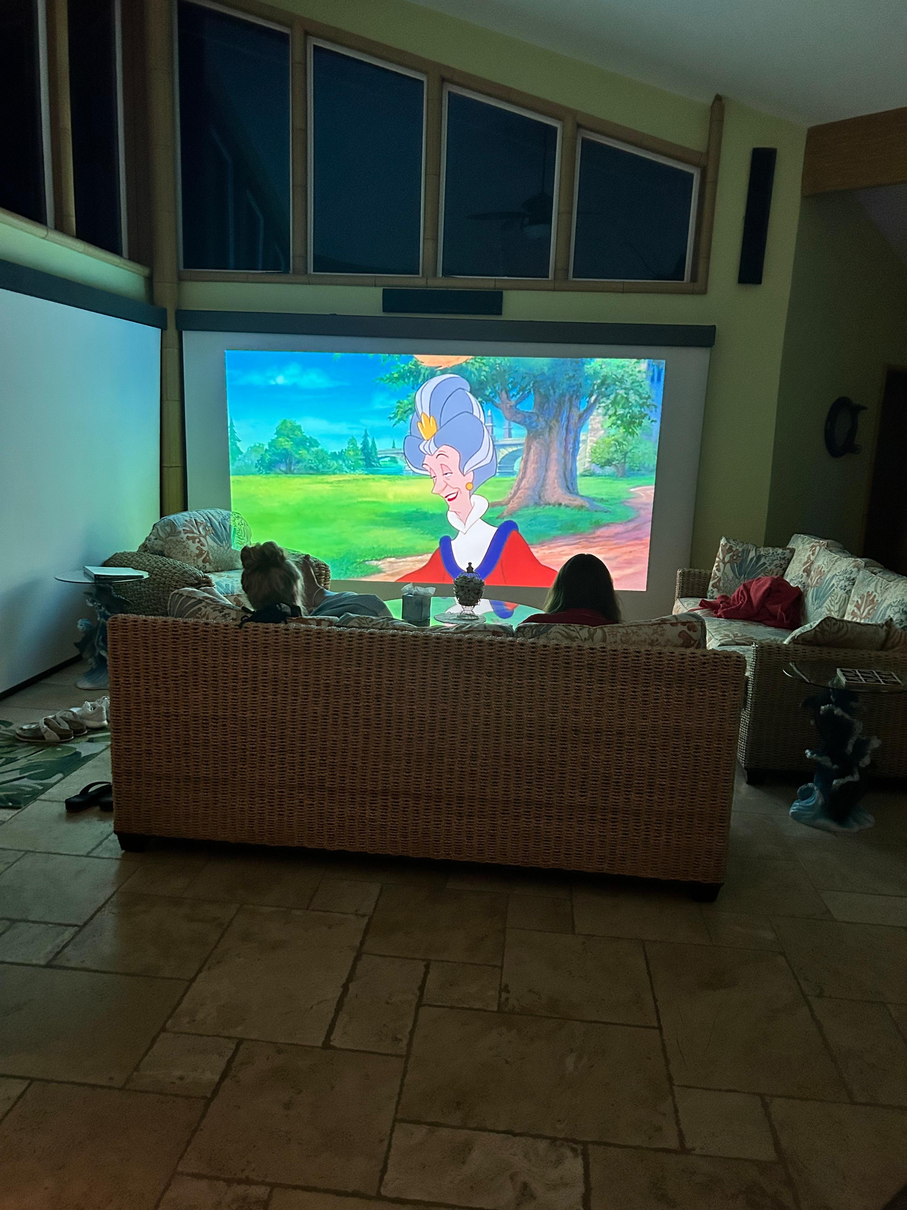 The projector TV