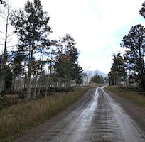 Driving away from the cabin