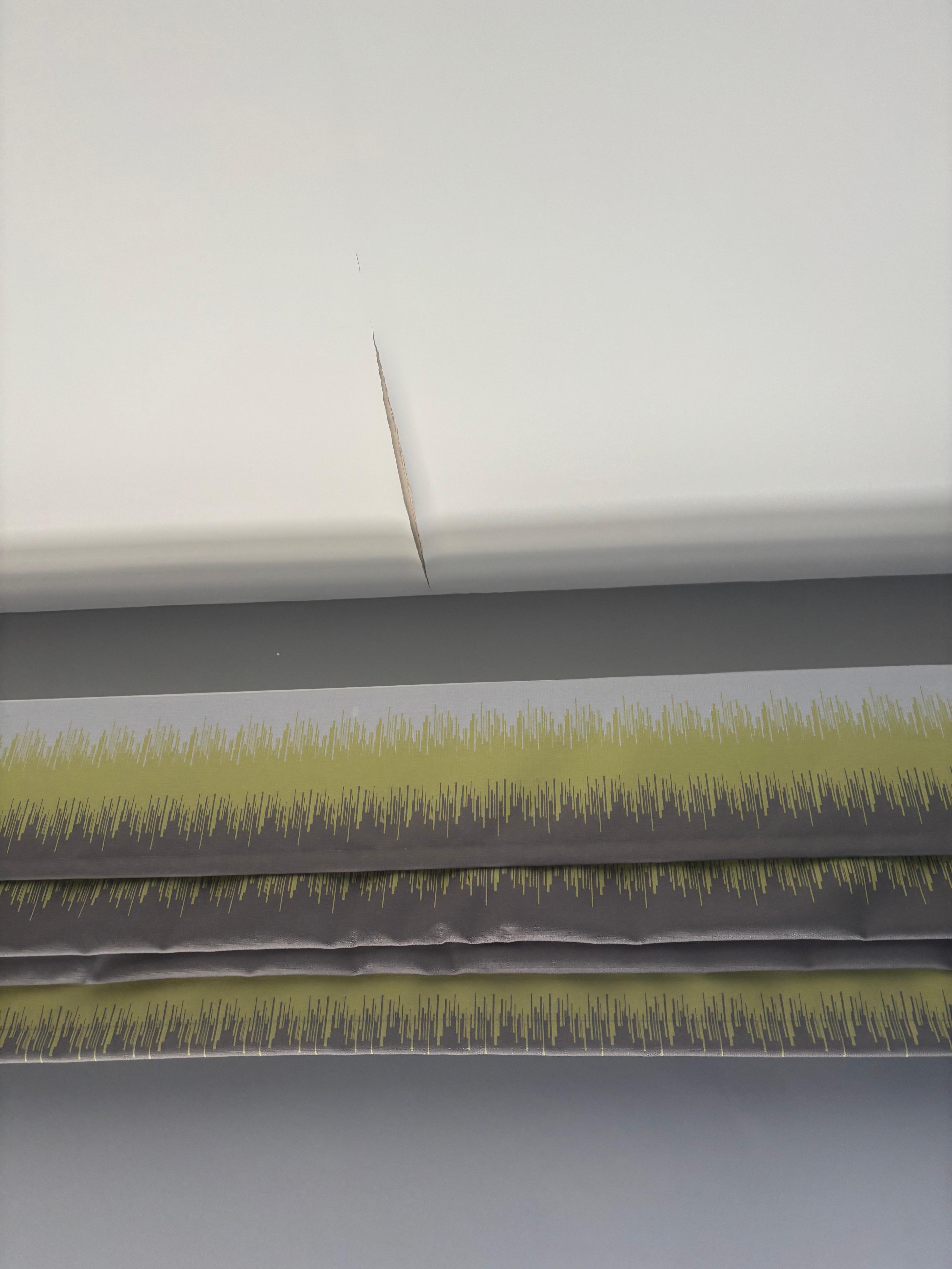 Ceiling needs repair