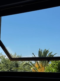 Looking out one of the great windows in the living room