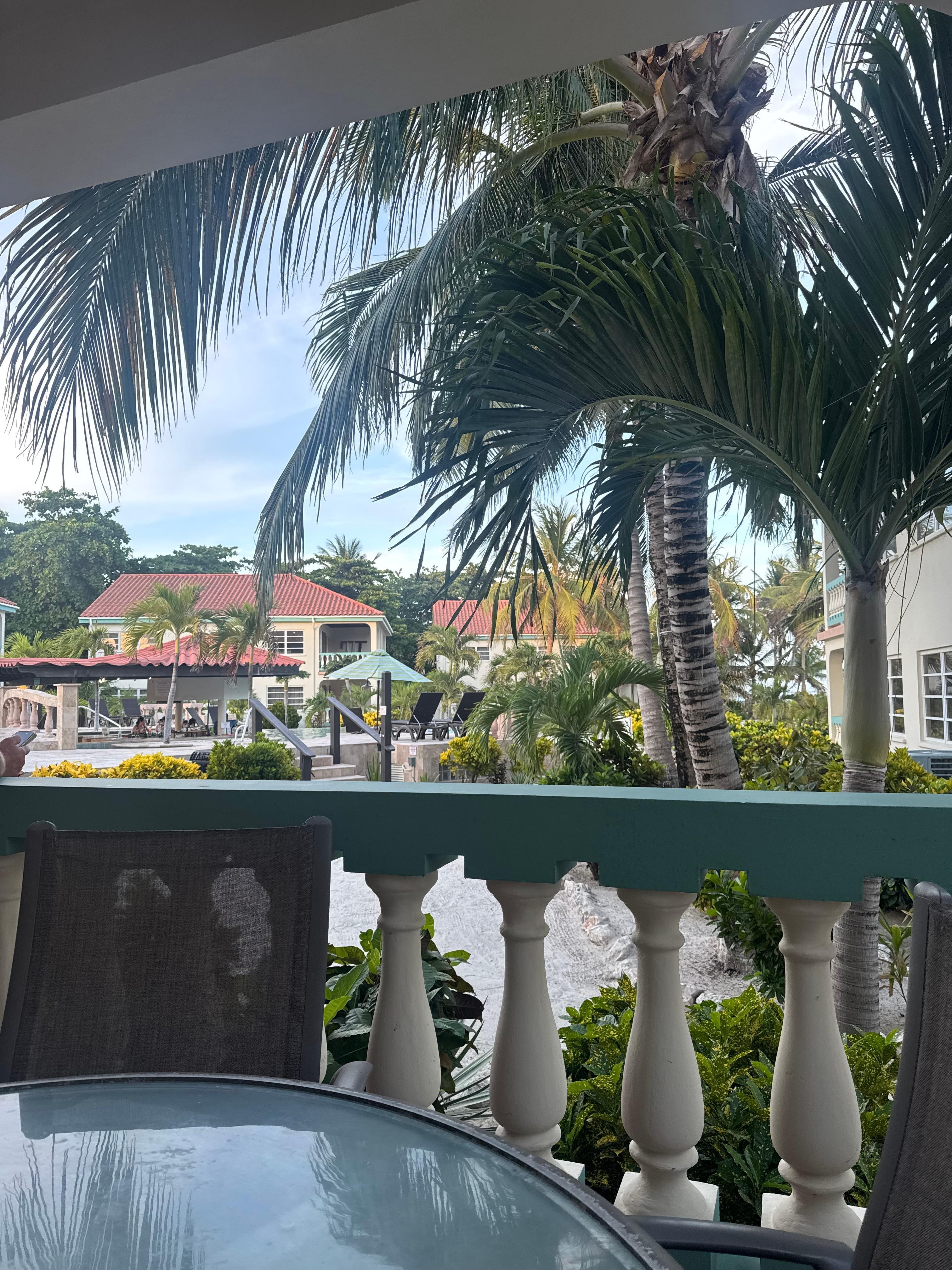 Our view relaxing on the patio of our suite.