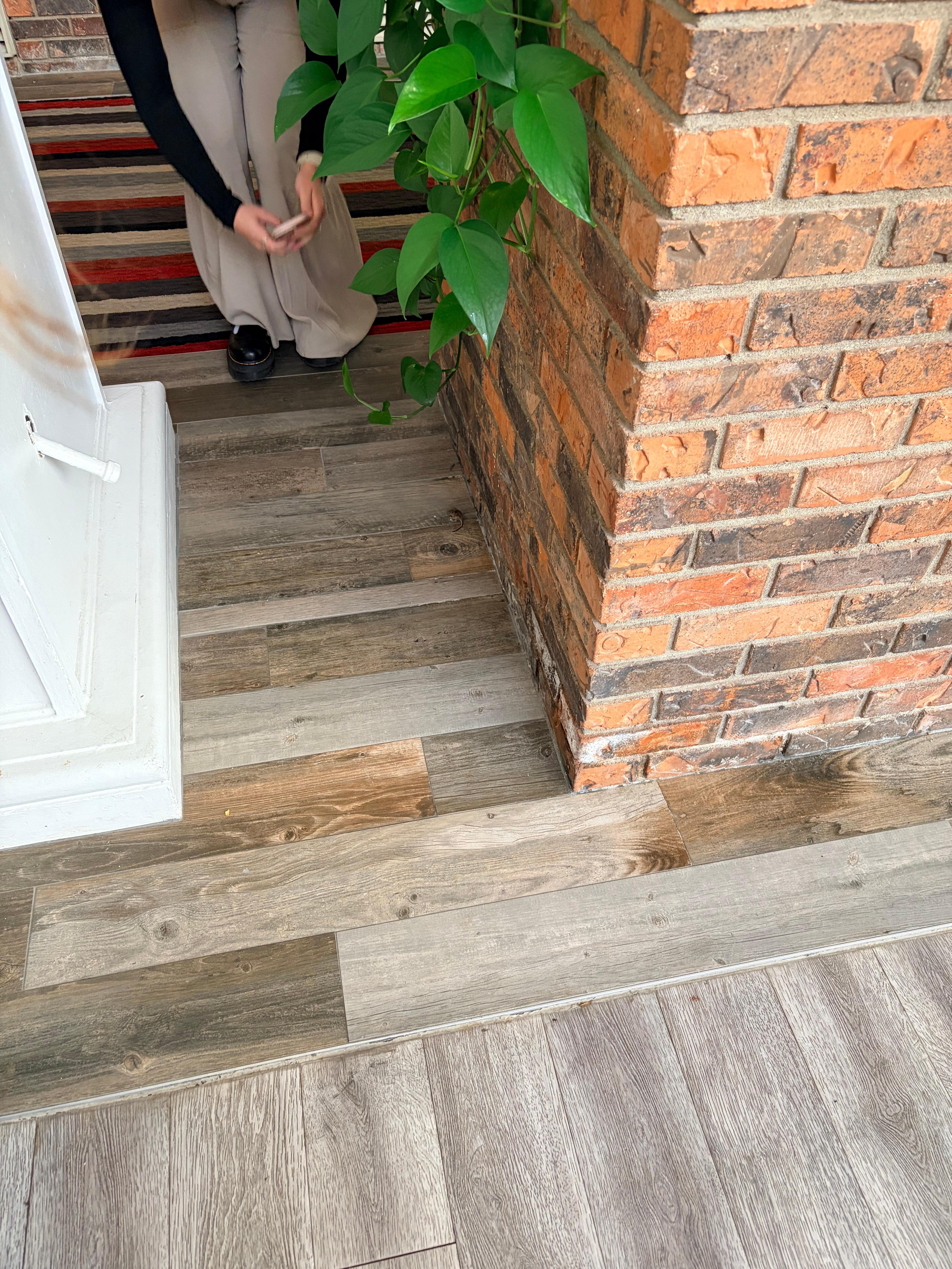 Mouse in conference area, also mice running in conference room.