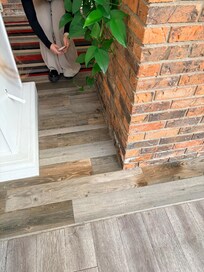 Mouse in conference area, also mice running in conference room.