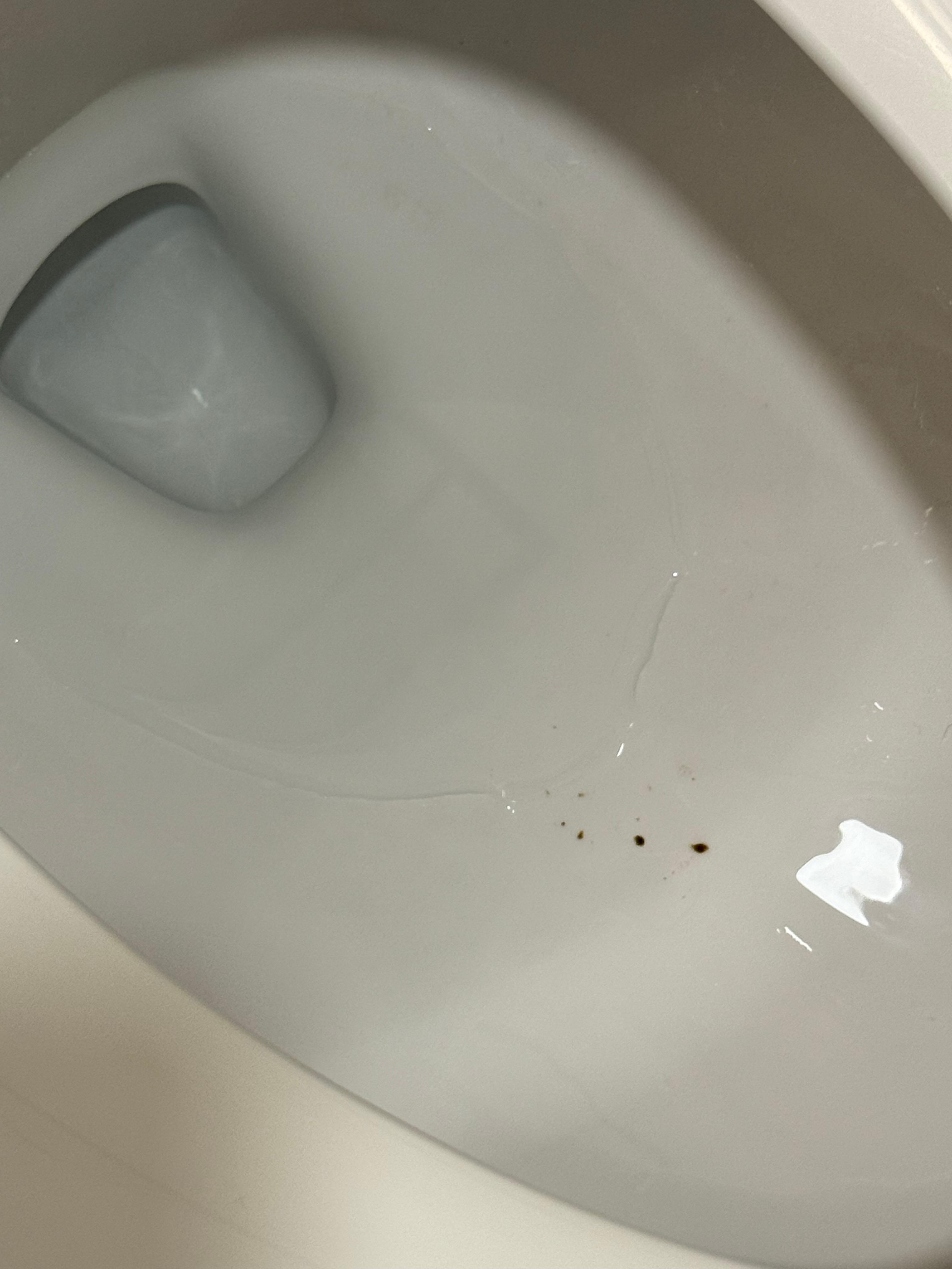 Left behind after we flushed. 