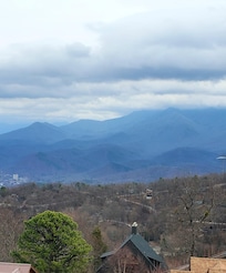 Beautiful view from the back porch!