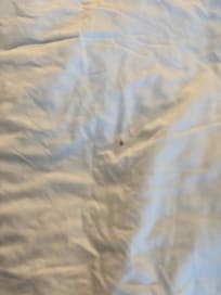 Red dot? Food? Or….