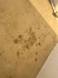 Dried vommit