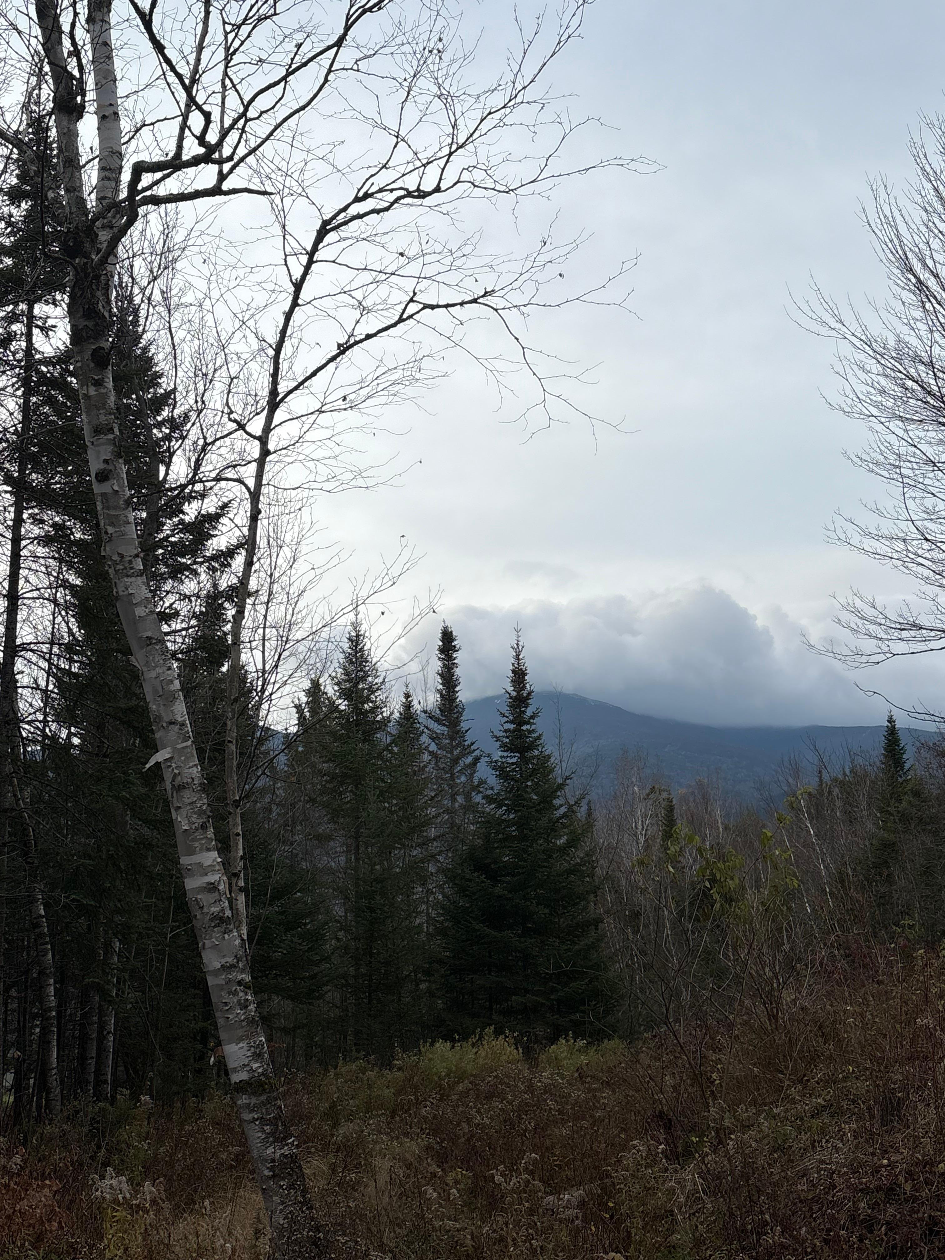 Literally drink coffee on deck out back door!!!