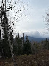 Literally drink coffee on deck out back door!!!