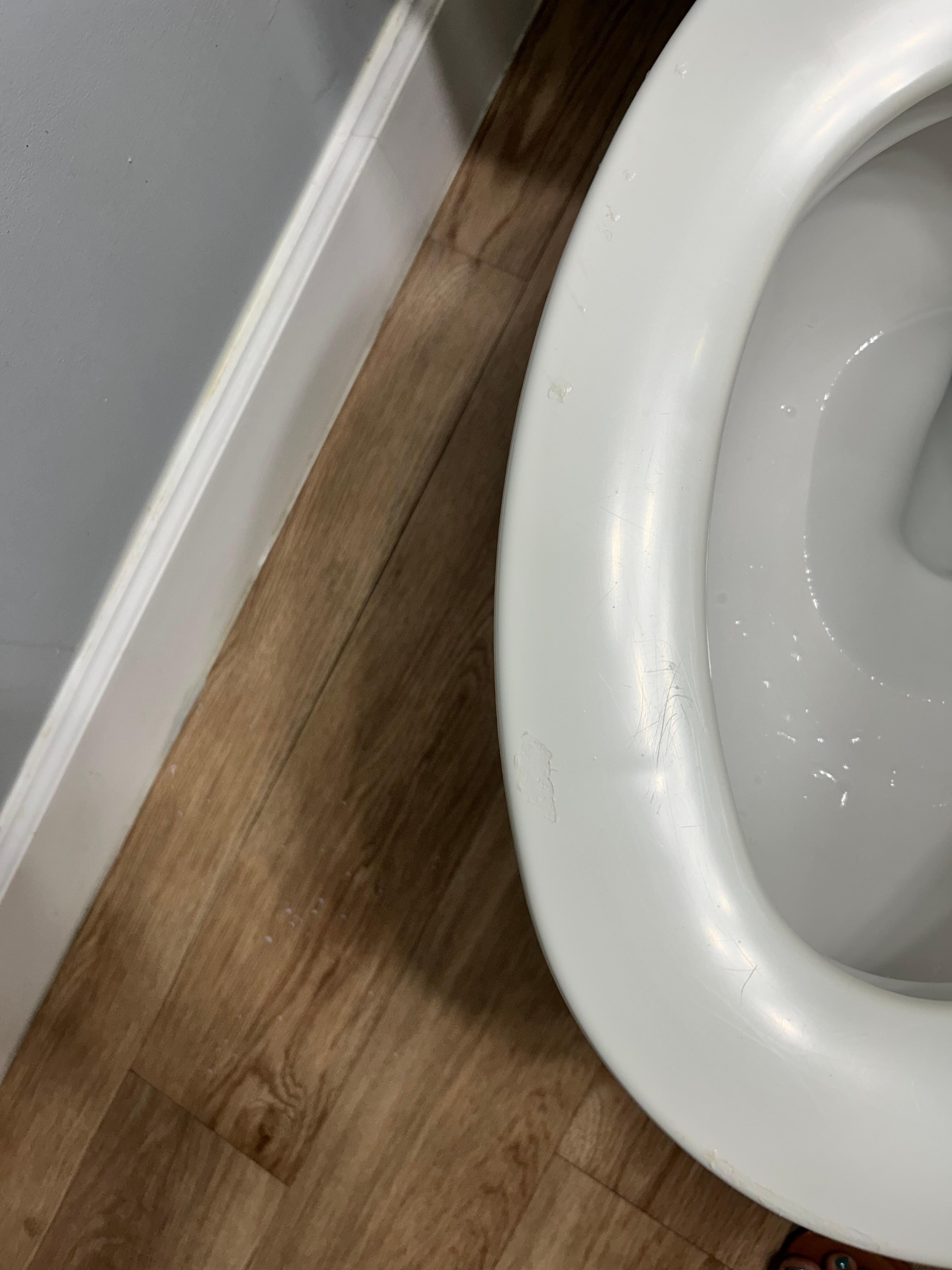 Chipped/worn toilet seat