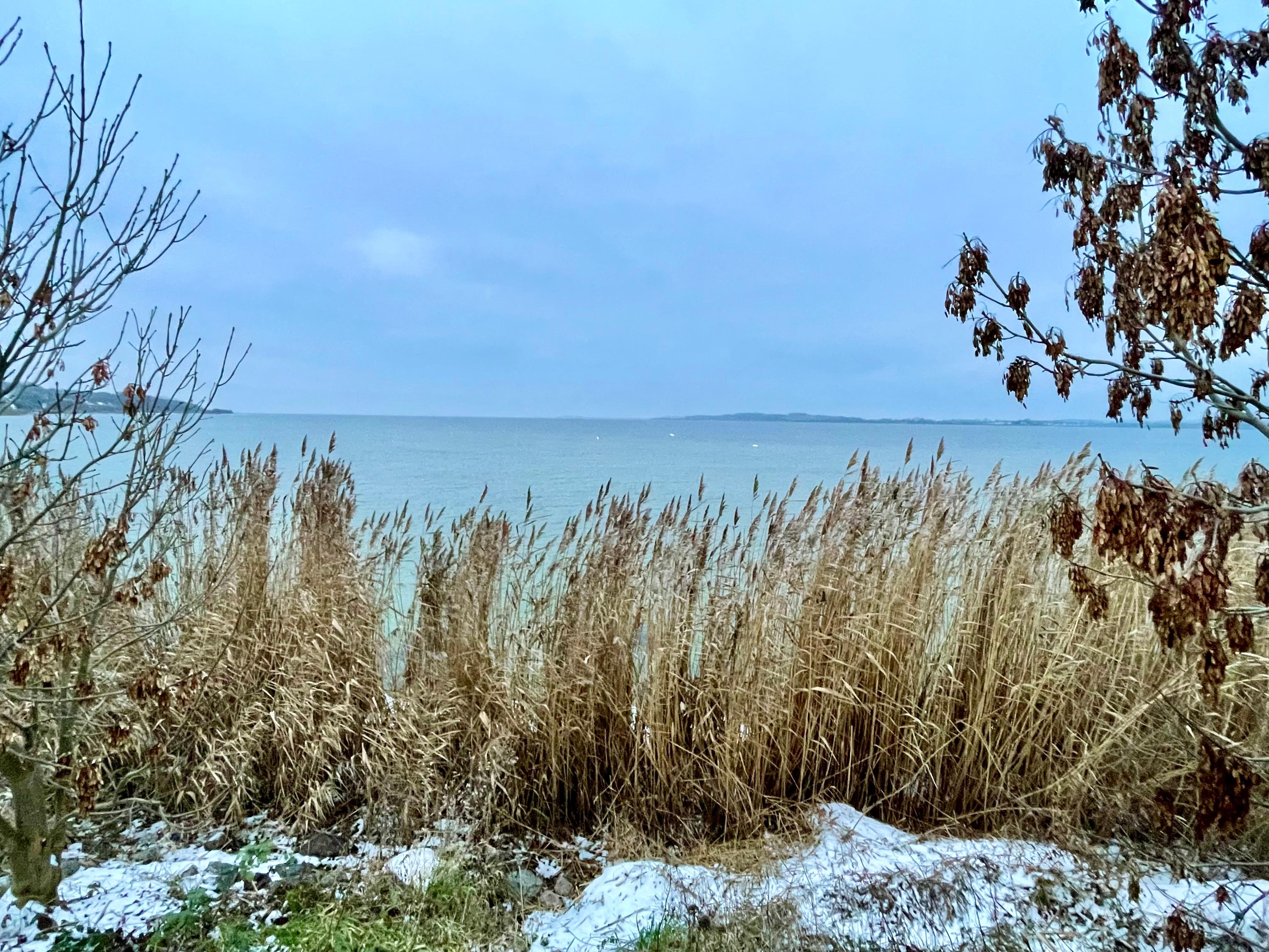 Nähe des Hafens in Gager