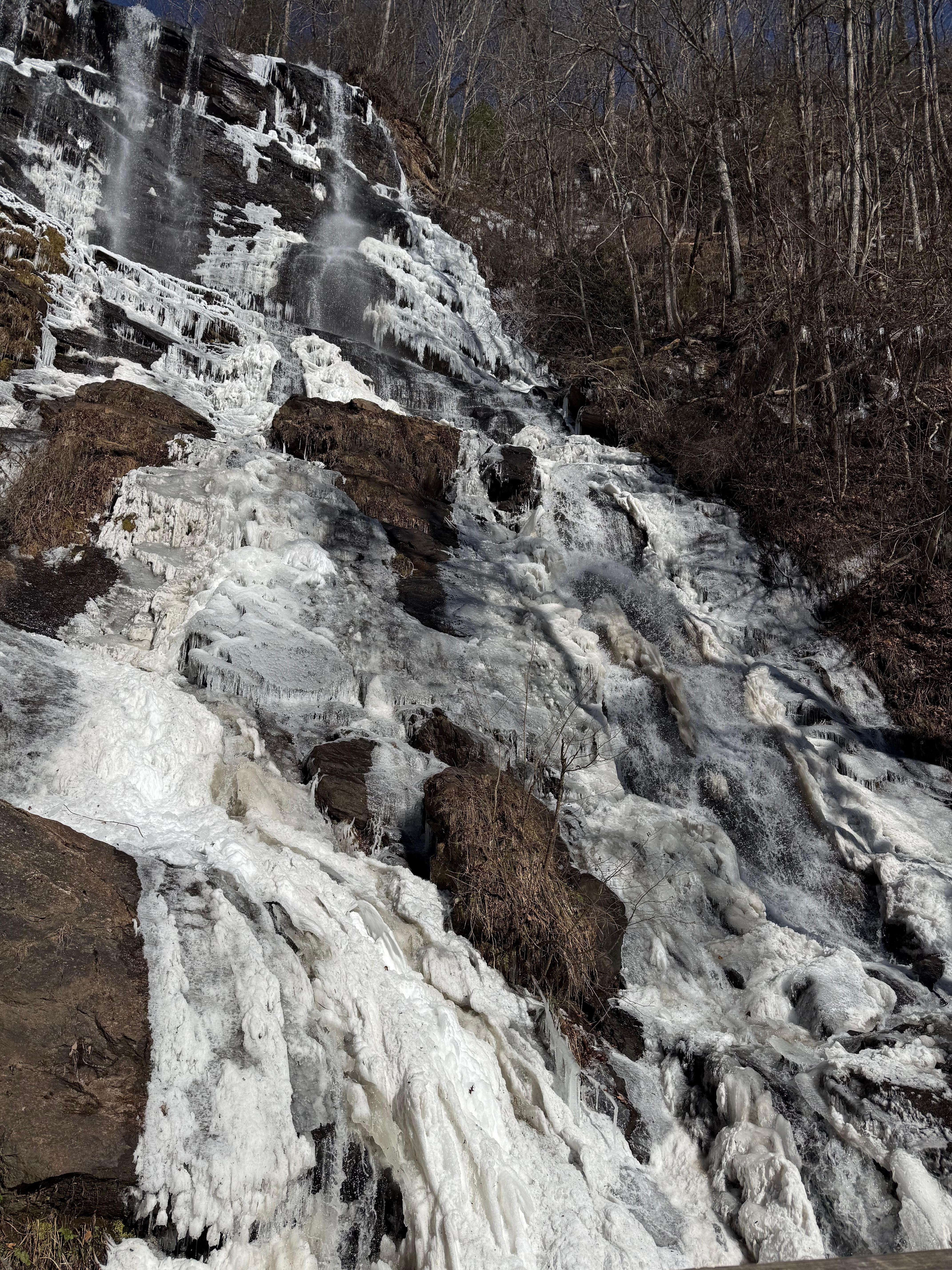 Pictures from Amicalola Falls State Park, which was # 2 in the cabins book of suggestions of things to do and see!! Awesome!!