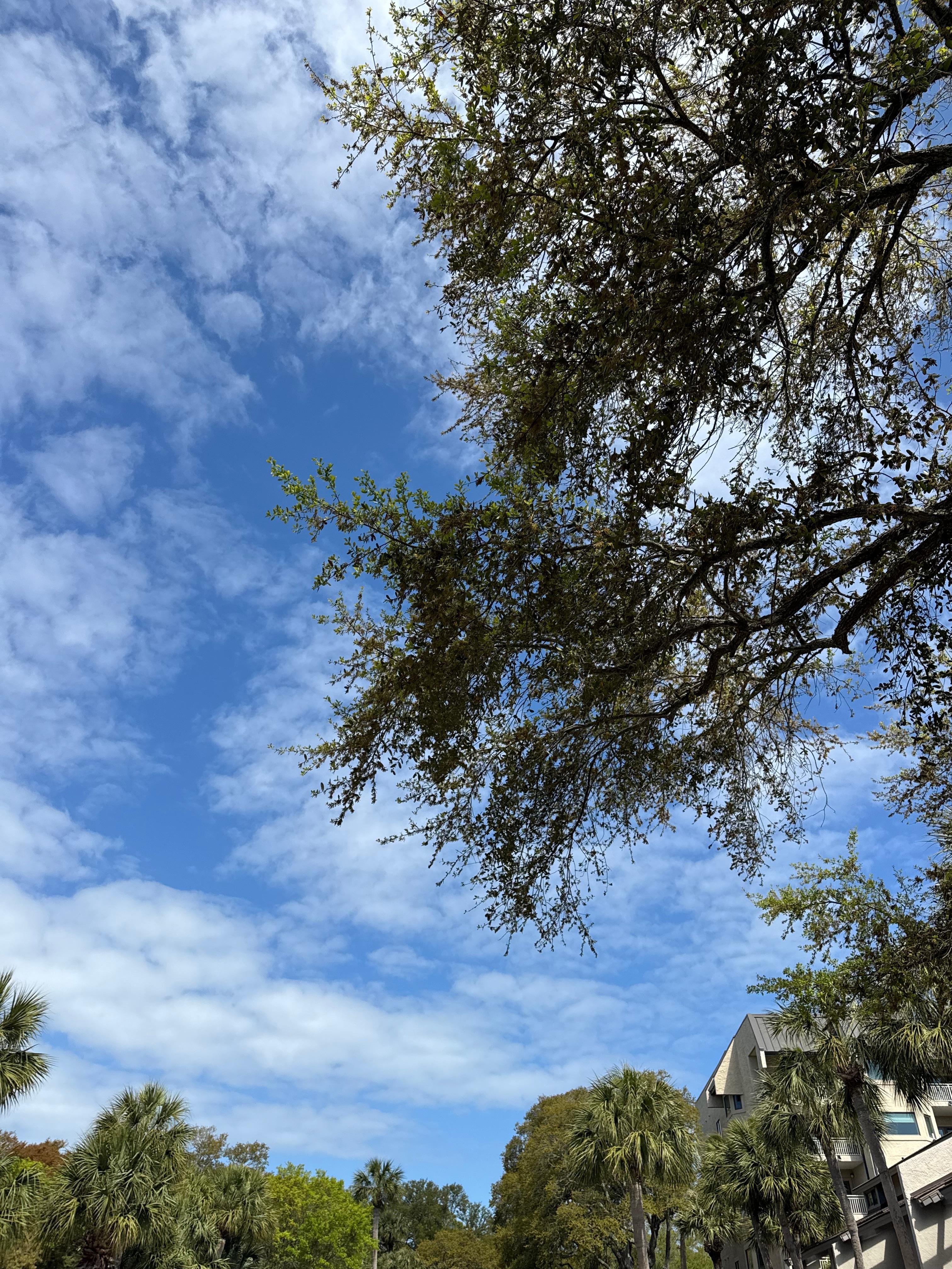 Beautiful property, very well maintained