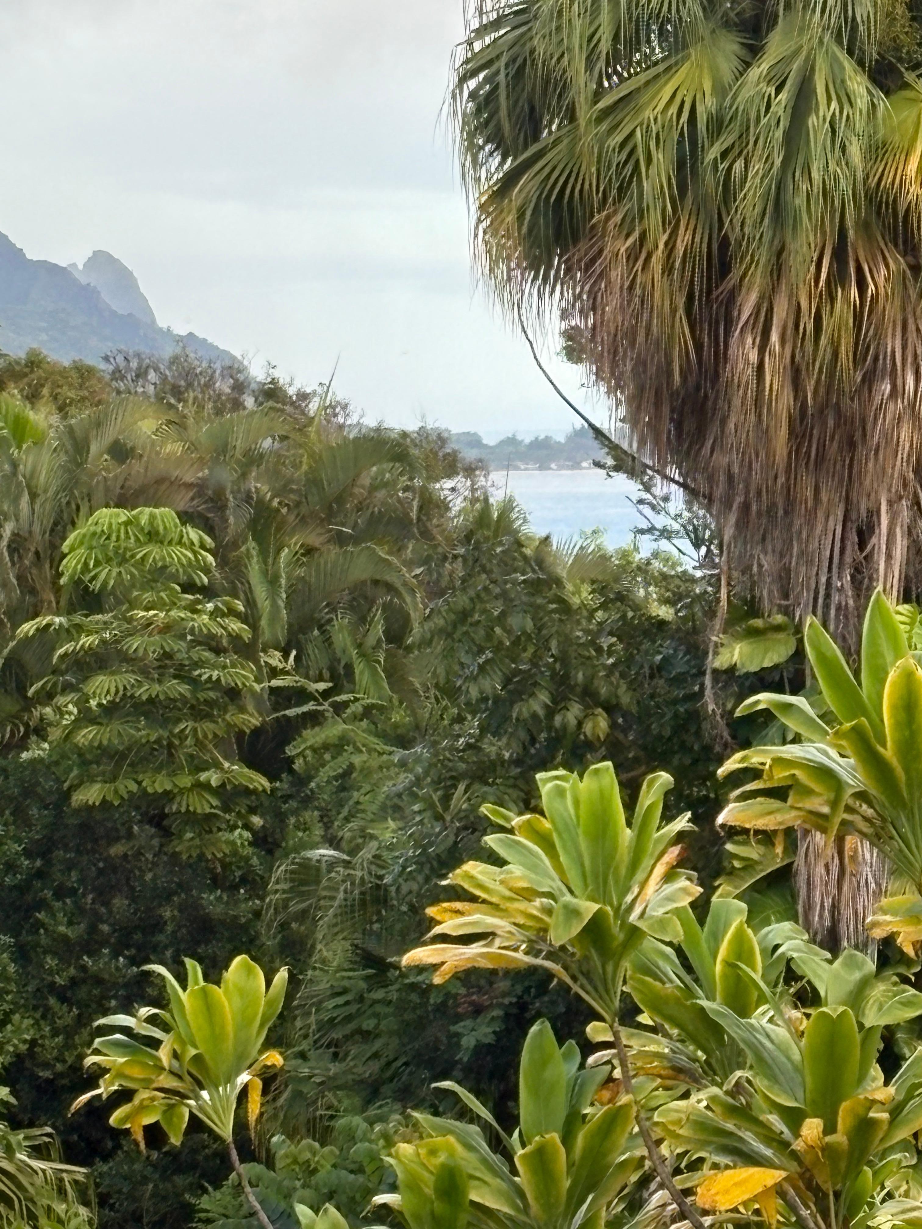 View from the surround deck towards Hanalei