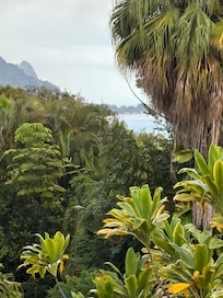 View from the surround deck towards Hanalei