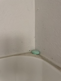 Old soap left in shower