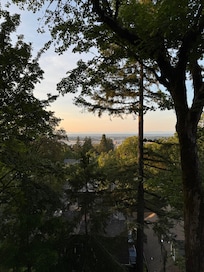 View from deck